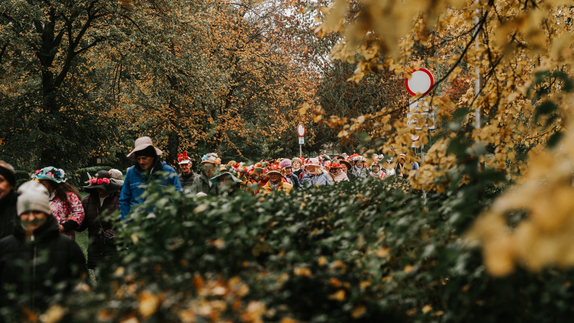 III NDKowy DZIEŃ SENIORA 